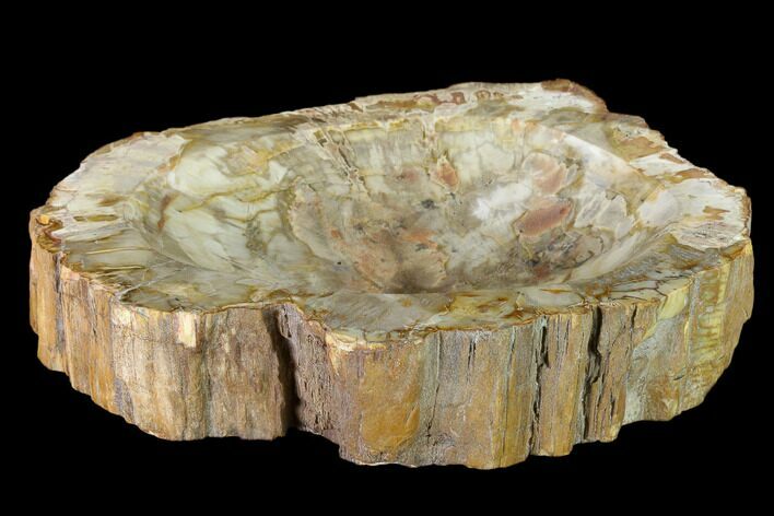 Bargain, Colorful Polished Petrified Wood Dish - Madagascar #135764